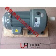 供應(yīng)商直銷(xiāo)GH28-750-10S臥式齒輪減速電機(jī)   宜賓，樂(lè)山三相減速電機(jī)價(jià)格